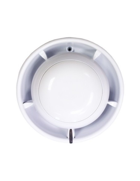 Comprar ZITON | Tienda Online Oficial