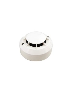 Comprar MORLEY | Tienda Online Oficial