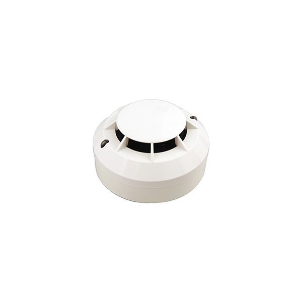 Comprar MORLEY | Tienda Online Oficial
