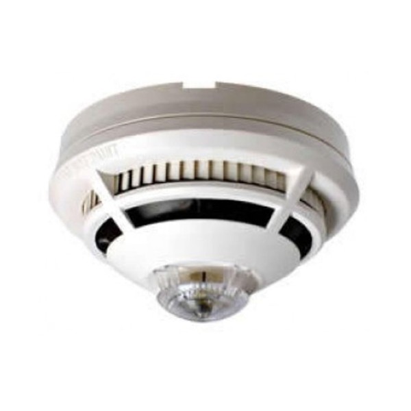 Comprar GENT | Tienda Online Oficial