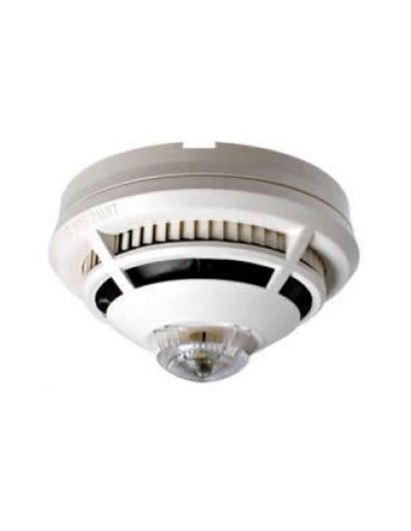 Comprar GENT | Tienda Online Oficial