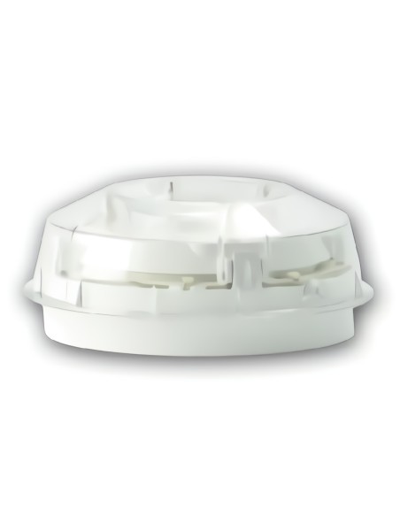 Comprar MORLEY | Tienda Online Oficial