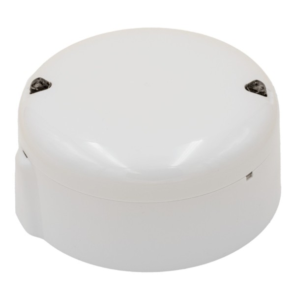 Comprar MORLEY | Tienda Online Oficial