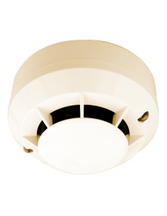 Comprar MORLEY | Tienda Online Oficial
