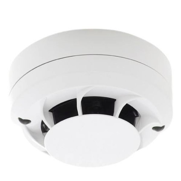 Comprar MORLEY | Tienda Online Oficial