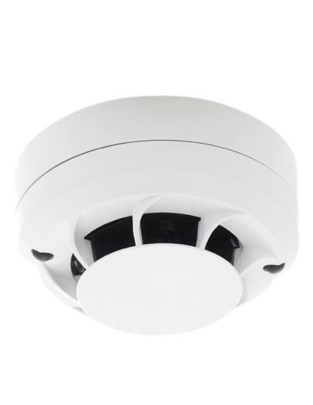 Comprar MORLEY | Tienda Online Oficial