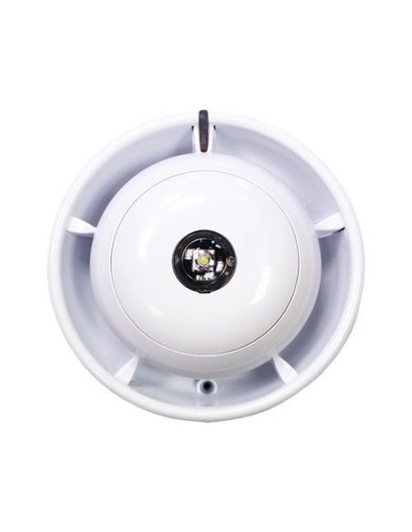 Comprar KIDDE | Tienda Online Oficial