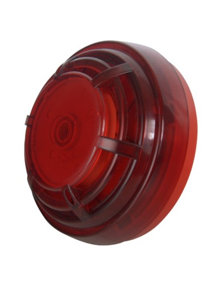 Comprar DMTECH | Tienda Online Oficial
