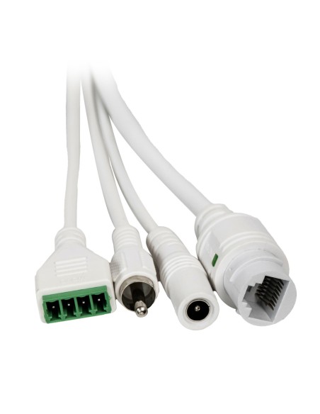 Comprar DSPPA | Tienda Online Oficial