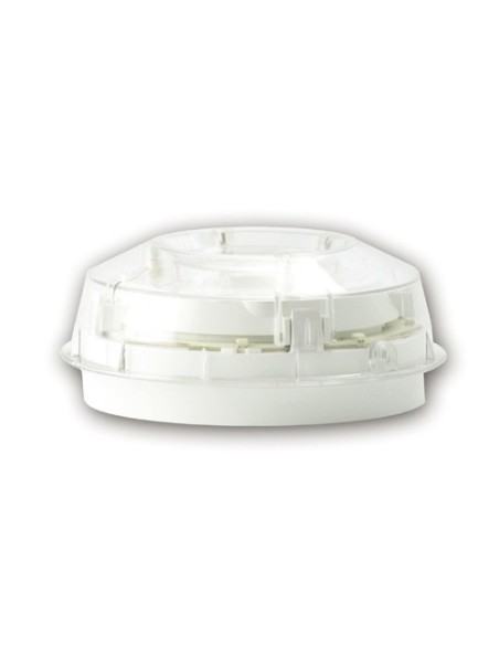 Comprar MORLEY-IAS | Tienda Online Oficial