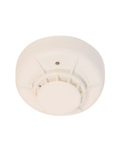 Comprar MORLEY-IAS | Tienda Online Oficial