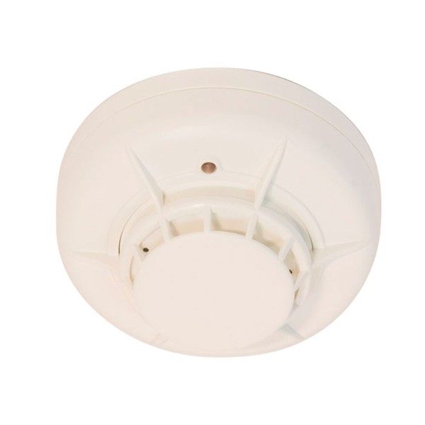 Comprar MORLEY-IAS | Tienda Online Oficial