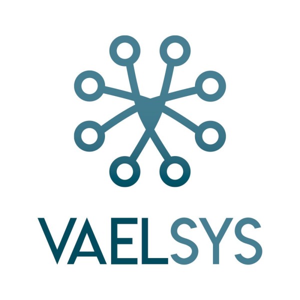 Comprar VAELSYS | Tienda Online Oficial