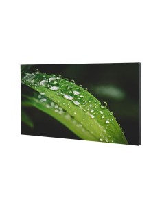 Comprar DAHUA | Tienda Online Oficial