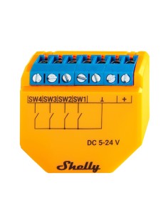 Comprar SHELLY | Tienda Online Oficial