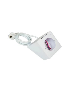 Comprar SHELLY | Tienda Online Oficial