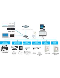 Comprar TVT | Tienda Online Oficial 2