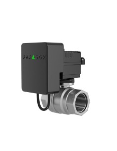 Comprar PARADOX | Tienda Online Oficial 2