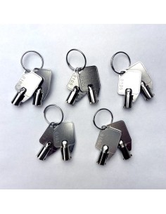 QNAP-1367135-KEY-01-10PCS-QNAP KEY-01-10PCS accesorio de bastidor Llave de cierre